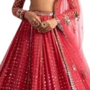 Elegant Pink Lehenga with Embellishments